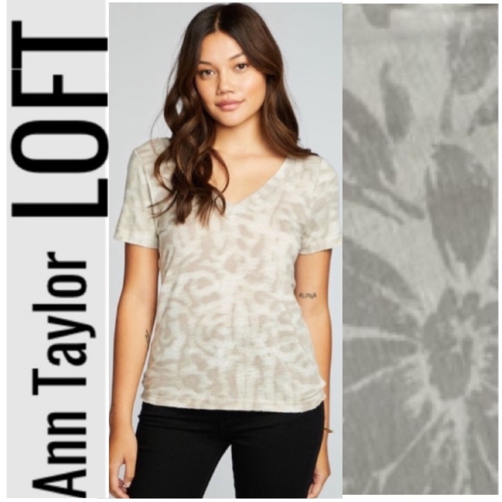 Floral Damask Print Casual Dressy Tee Ann Taylor LOFT Ivory White Gray Sz Medium